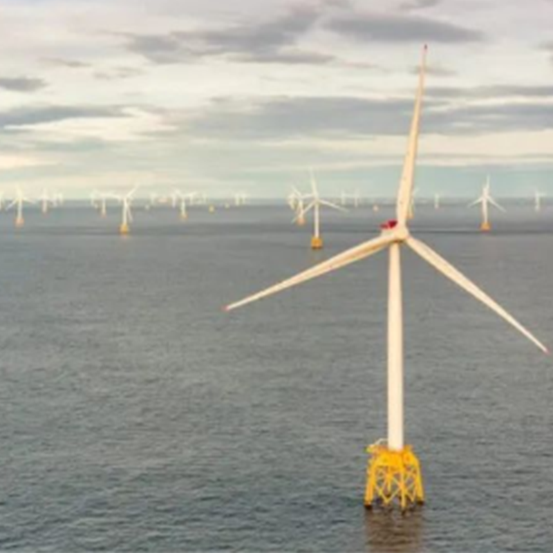 CIP làm việc với chính quyền Mexico về các dự án nhiên liệu hàng hải và hydro xanh